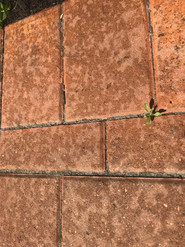 Slide of 5 Star Cleaning And Paving Specialists