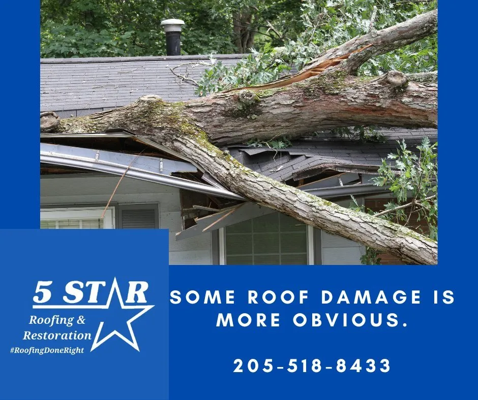 Slide of 5 Star Roofing & Restoration