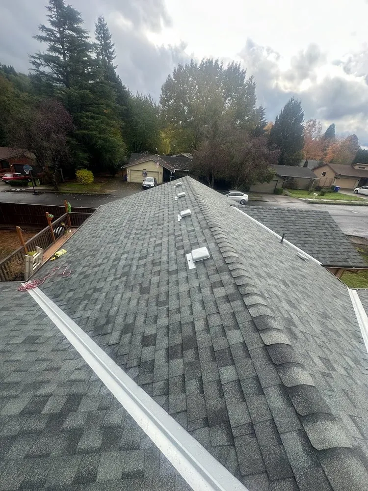 Slide of 503 Roofers