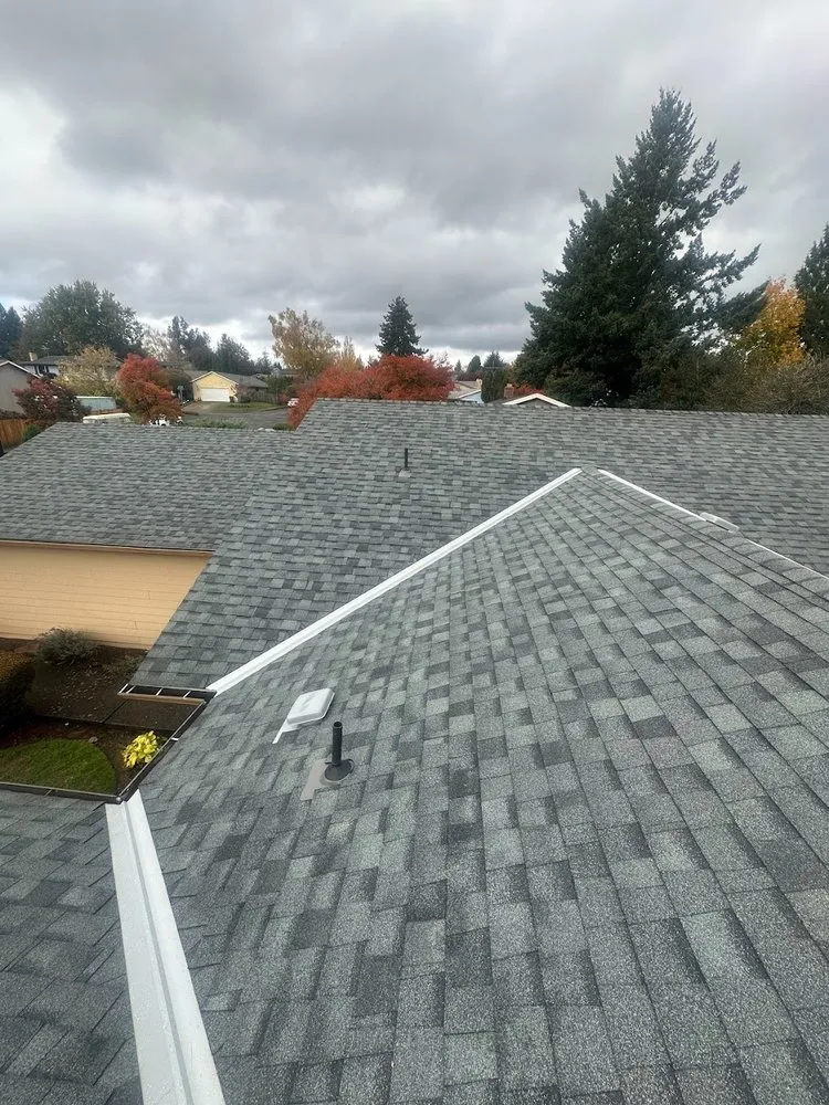 Slide of 503 Roofers