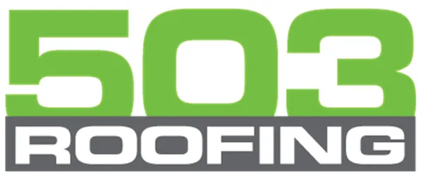 503 Roofing and Construction