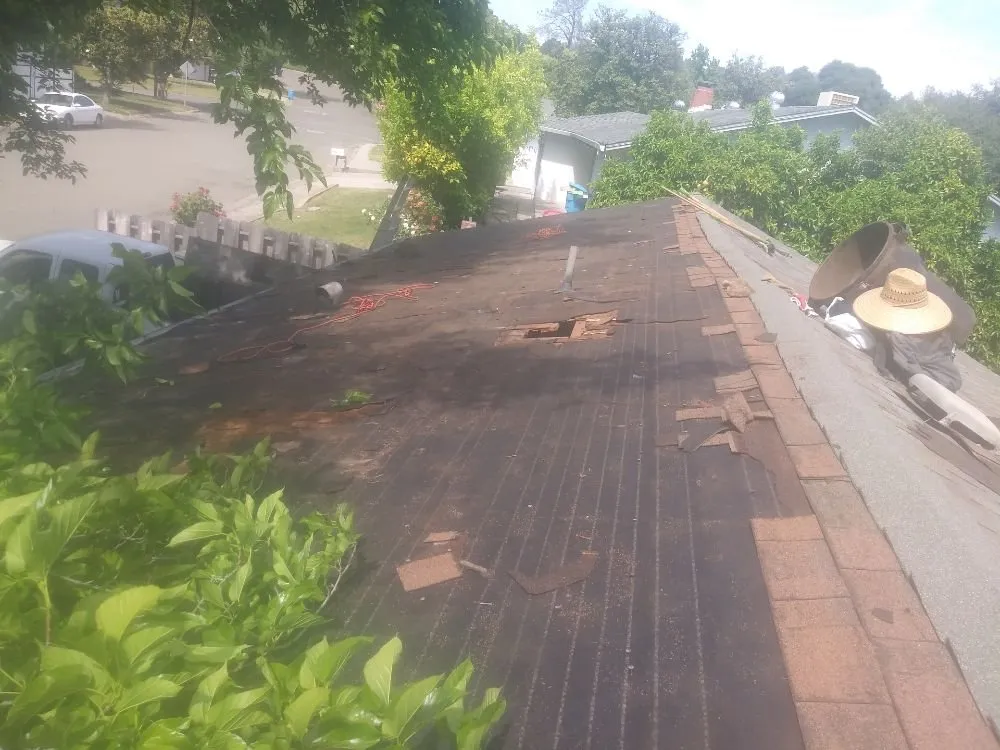 Slide of 530 Rain and Shine Roofing