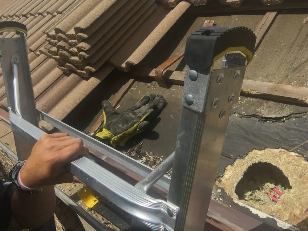 Slide of 730 South Exteriors