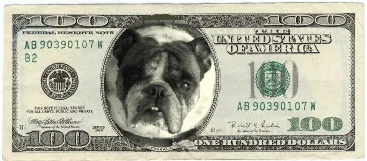 Slide of 850-ROOFERS