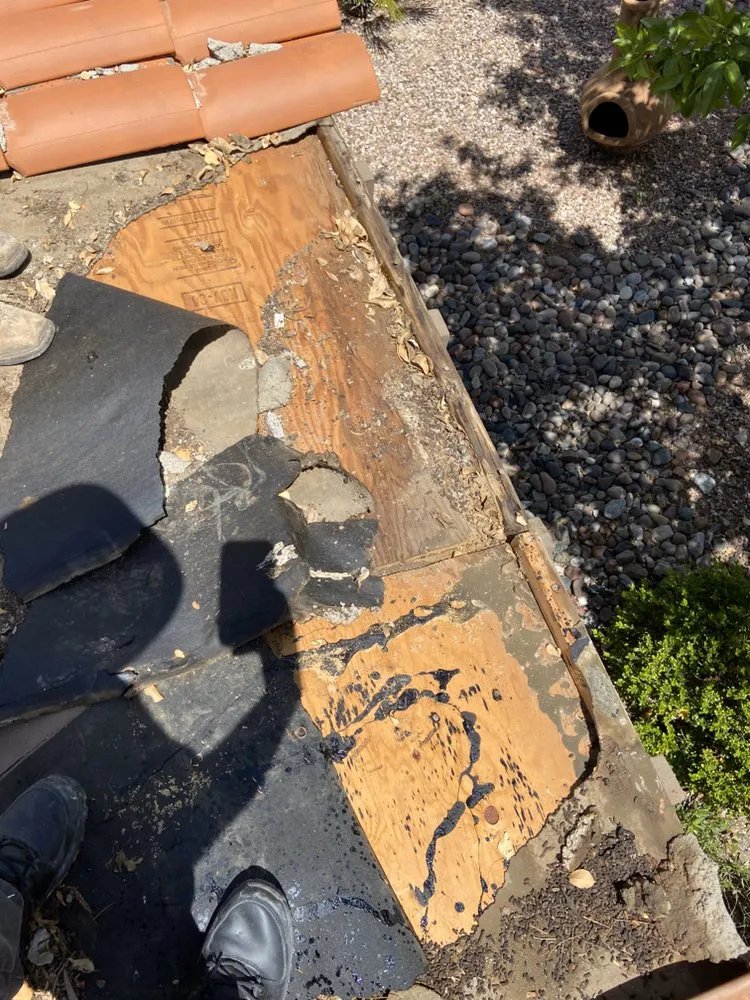 Slide of 90’s Brothers