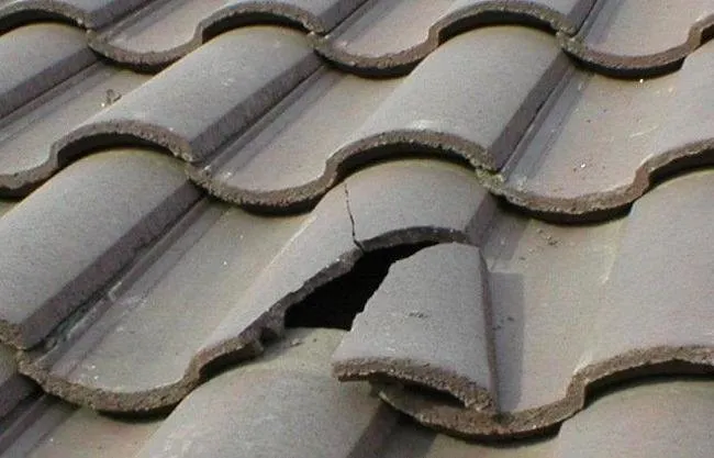 Slide of 911 Roofer