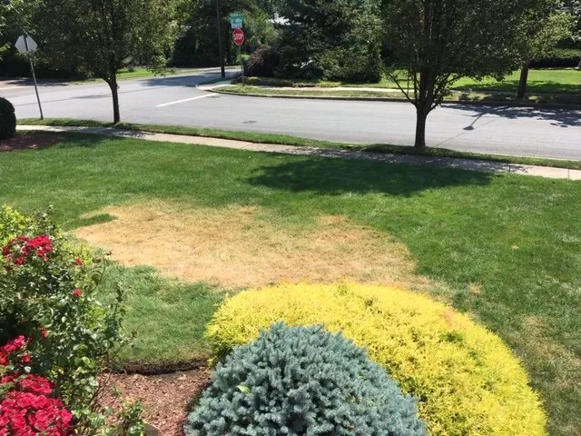 Slide of A & C Pena Construction