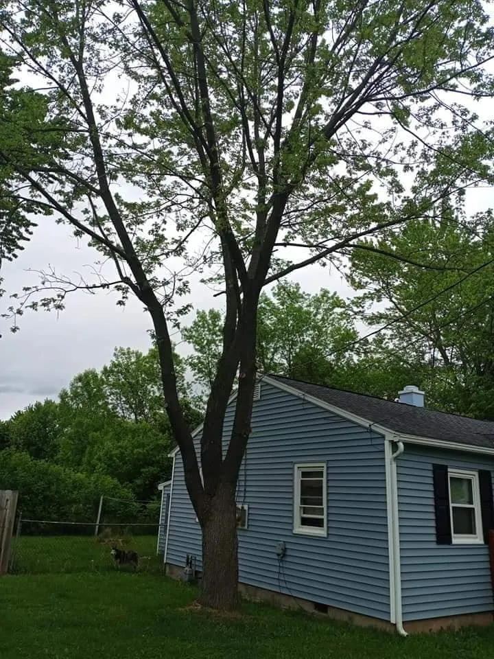 Slide of A-1 Services