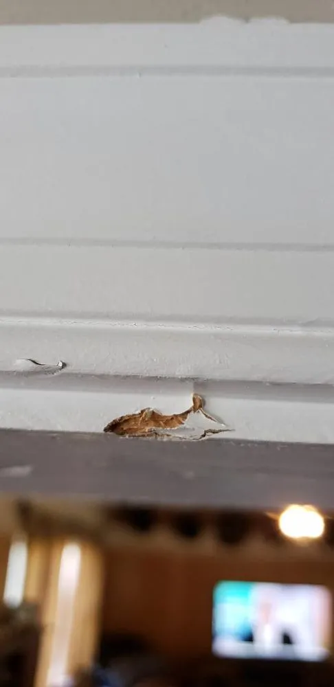 Slide of A and Z Contracting