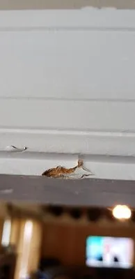 A and Z Contracting Logo