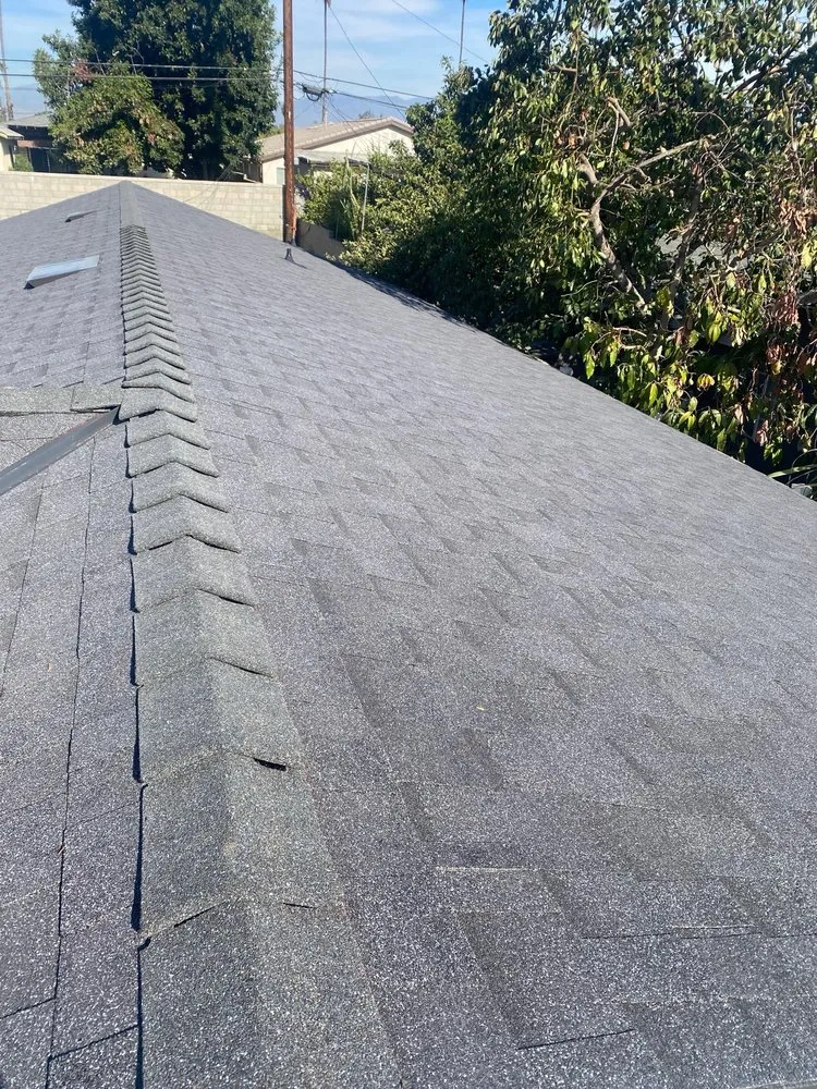 Slide of A Better Choice Development