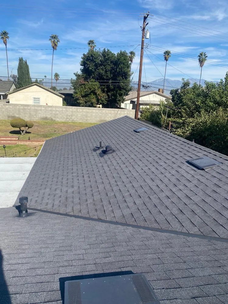 Slide of A Better Choice Development