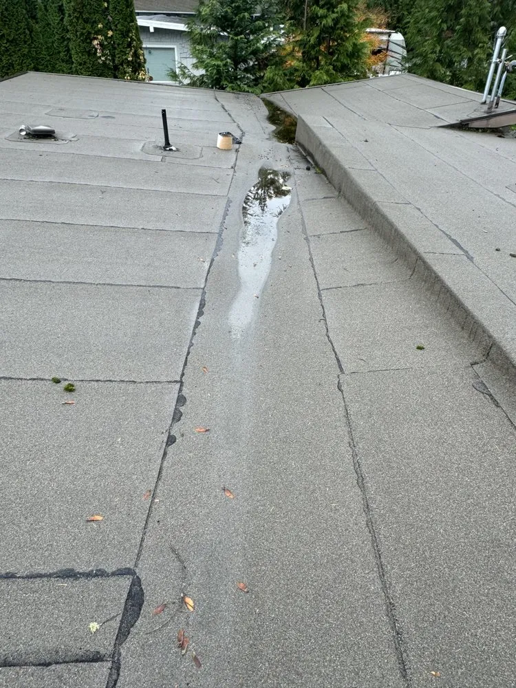 Slide of A Better Home Northwest