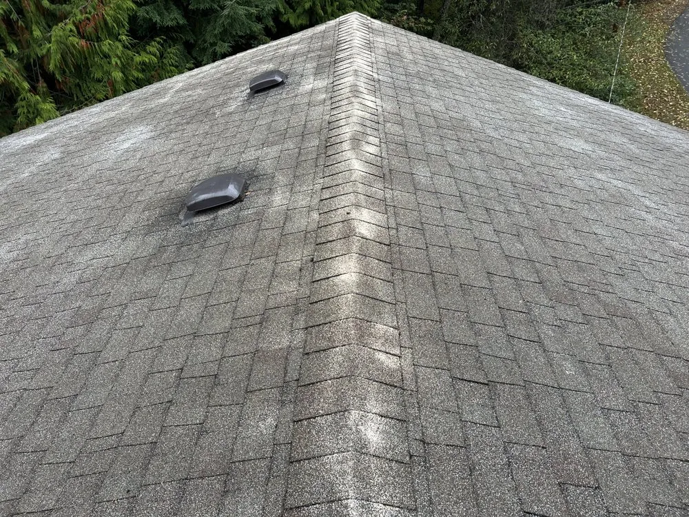 Professional metal roofing installation in Camano Island, WA by A Brite-Way Window Cleaning