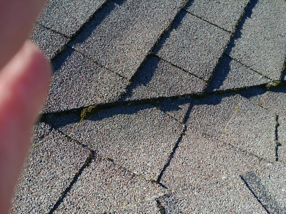 Top-rated shingle roofing service in Camano Island, WA by A Brite-Way Window Cleaning