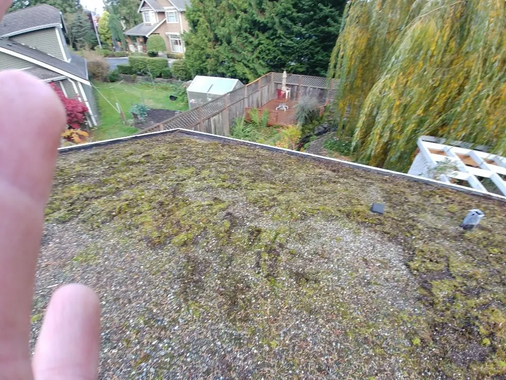 Top-rated roof installation with free inspection across Camano Island, WA - A Brite-Way Window Cleaning