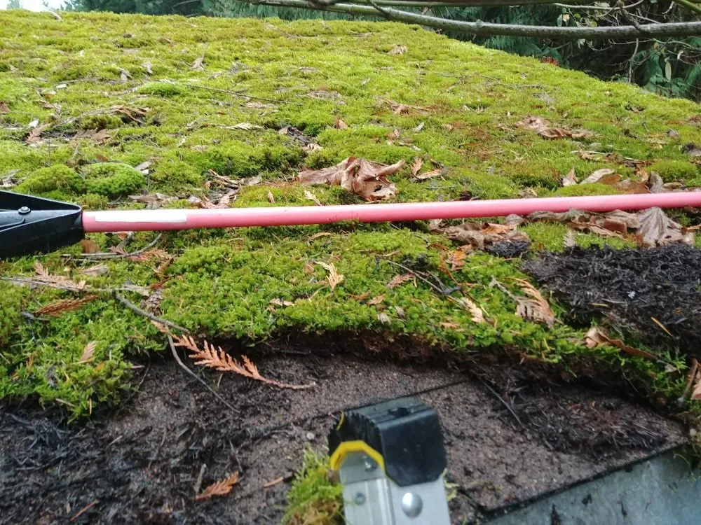 Reliable roof installation in Camano Island, WA by A Brite-Way Window Cleaning