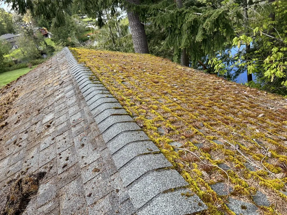 Professional storm damage roof repair for homes across Camano Island, WA - A Brite-Way Window Cleaning