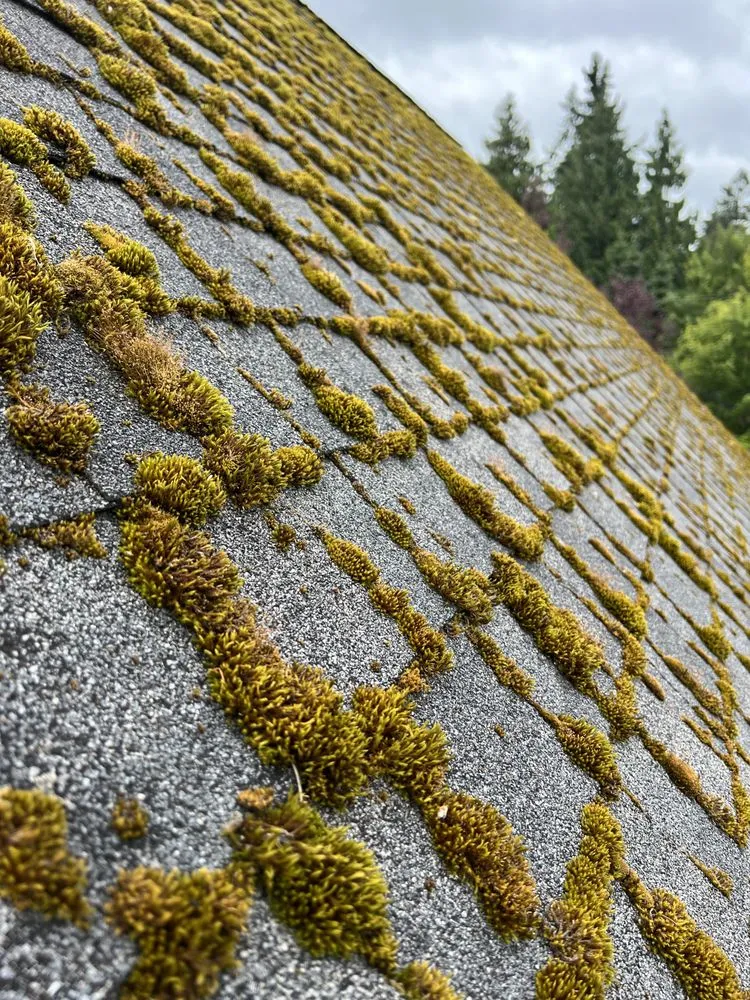 Reliable storm damage roof repair experts serving Camano Island, WA - A Brite-Way Window Cleaning