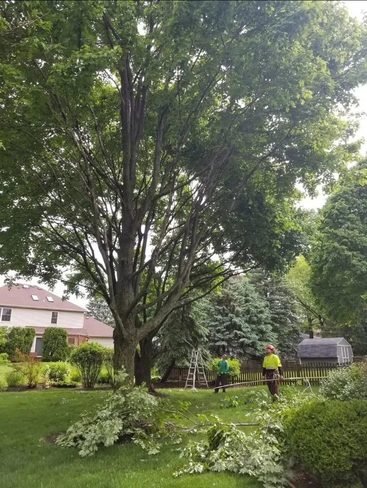 Slide of A C Roofing Contractor