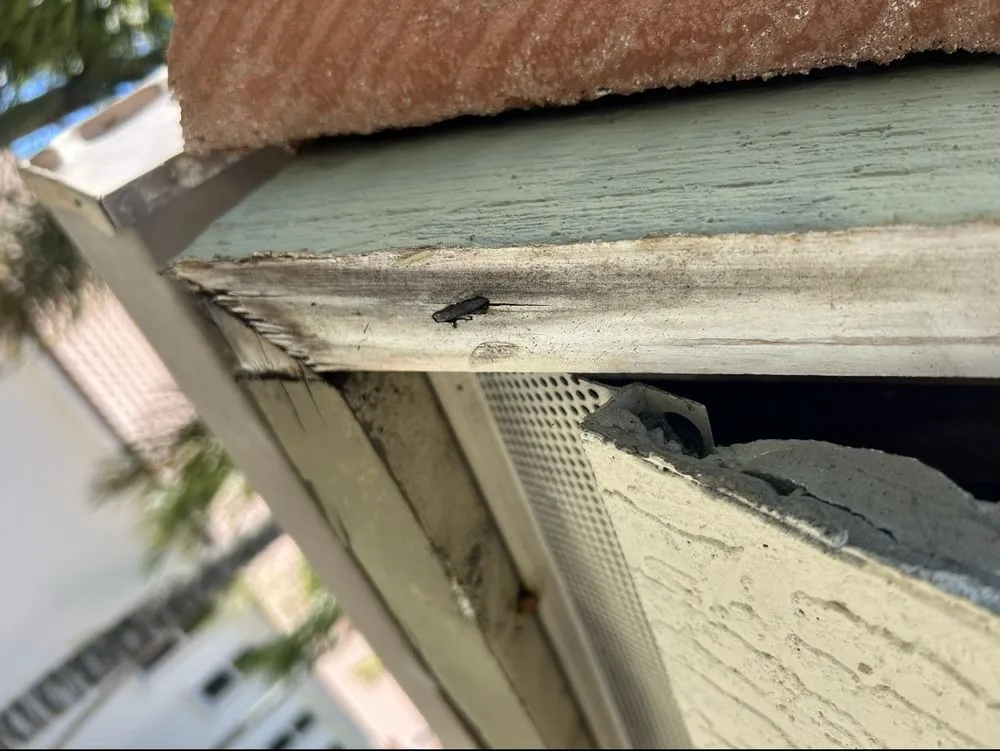 Top-rated storm damage roof repair after storm damage in Port St. Lucie, FL by A Coast Roof