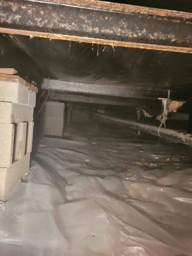 Slide of A+ Construction