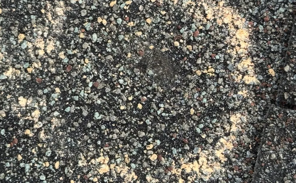 Slide of A Excavation & Land Clearing