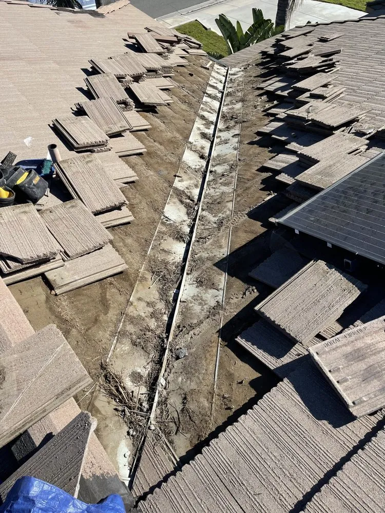 Slide of A J M D Mendoza