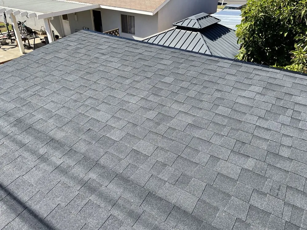 Slide of A J M D Mendoza