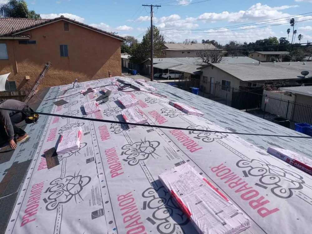 Slide of A J M D Mendoza