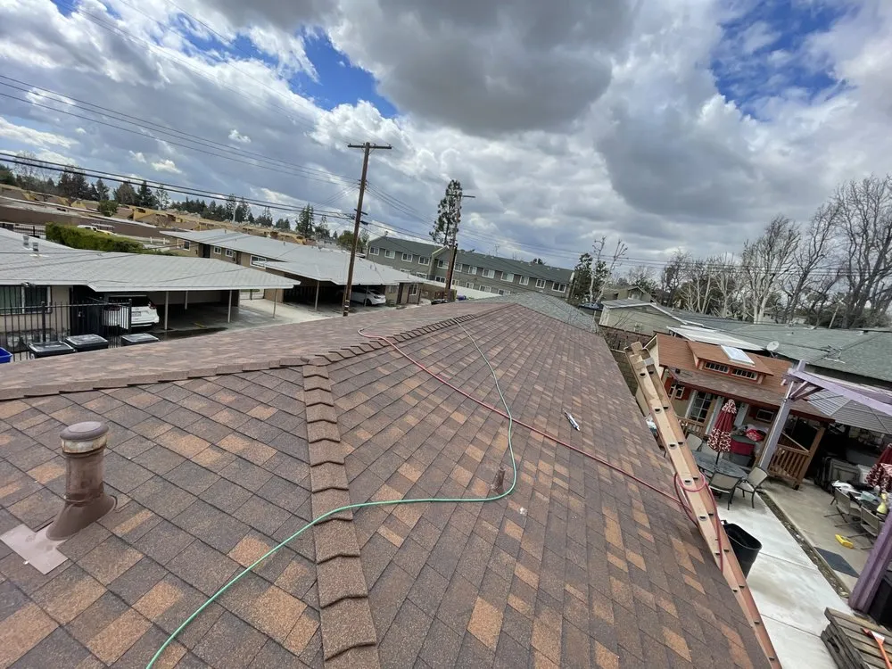 Slide of A J M D Mendoza