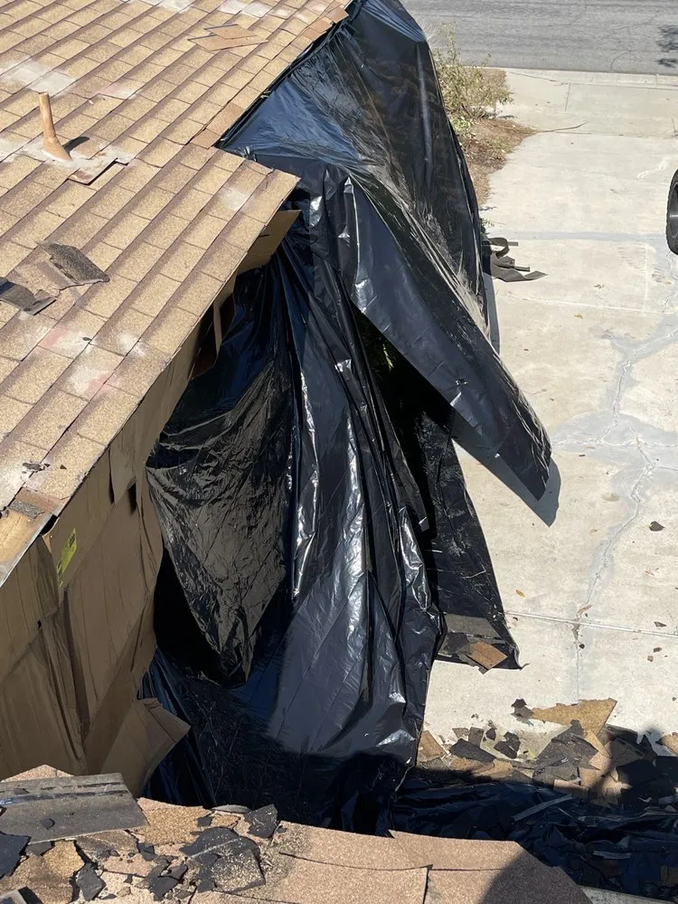 Slide of A J M D Mendoza