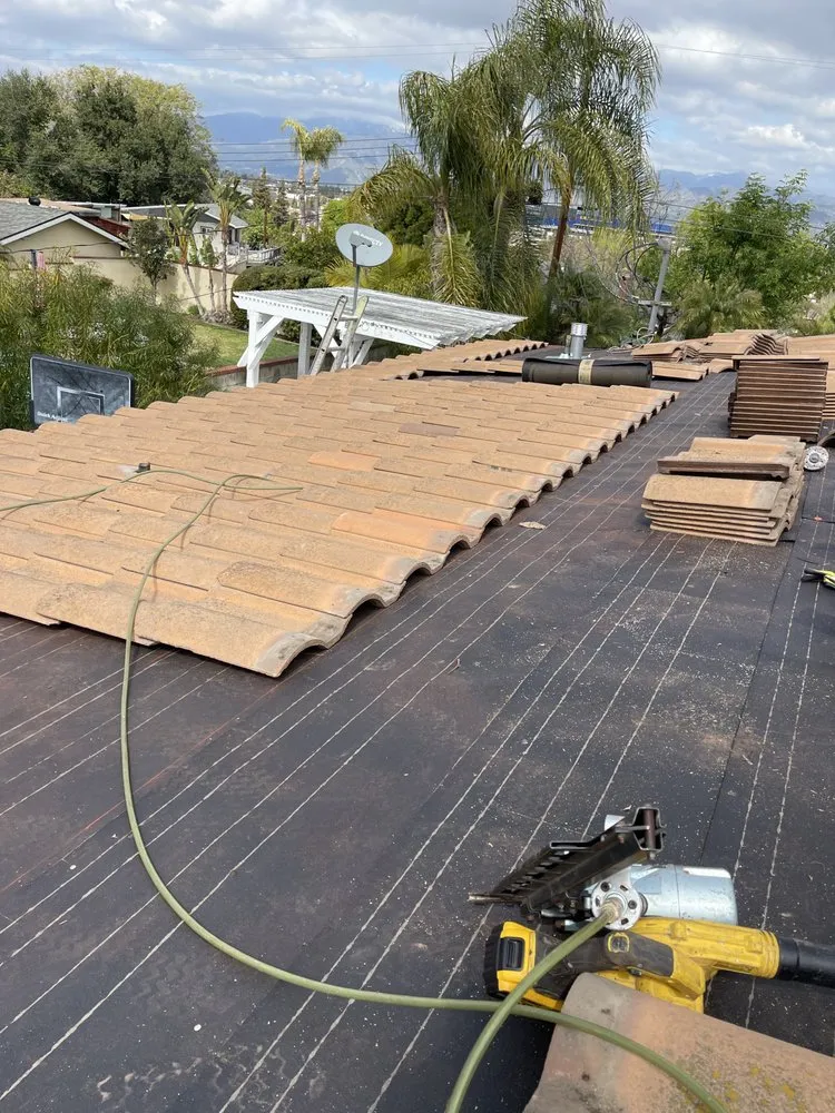 Slide of A J M D Mendoza