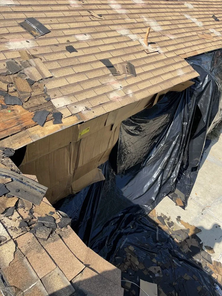 Slide of A J M D Mendoza