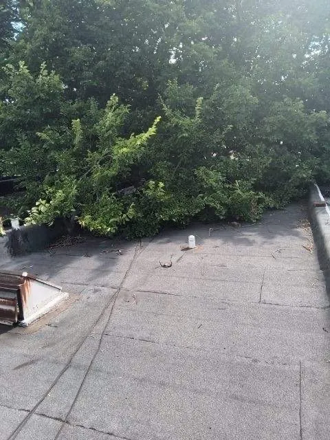 Slide of A plus certified roofing