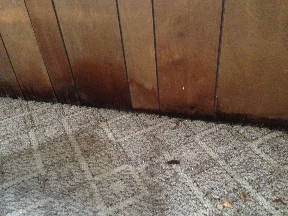 Slide of A Plus Exteriors