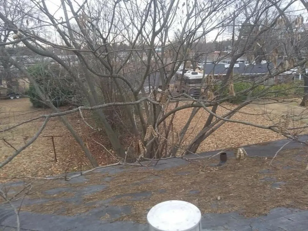 Slide of A Plus Roofing