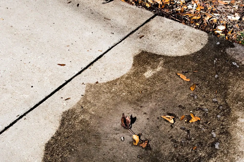 Slide of A Plus Soft Wash