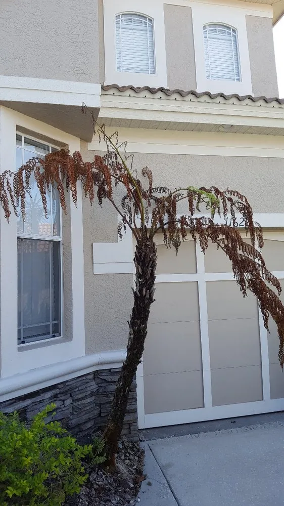 Slide of A Plus Soft Wash