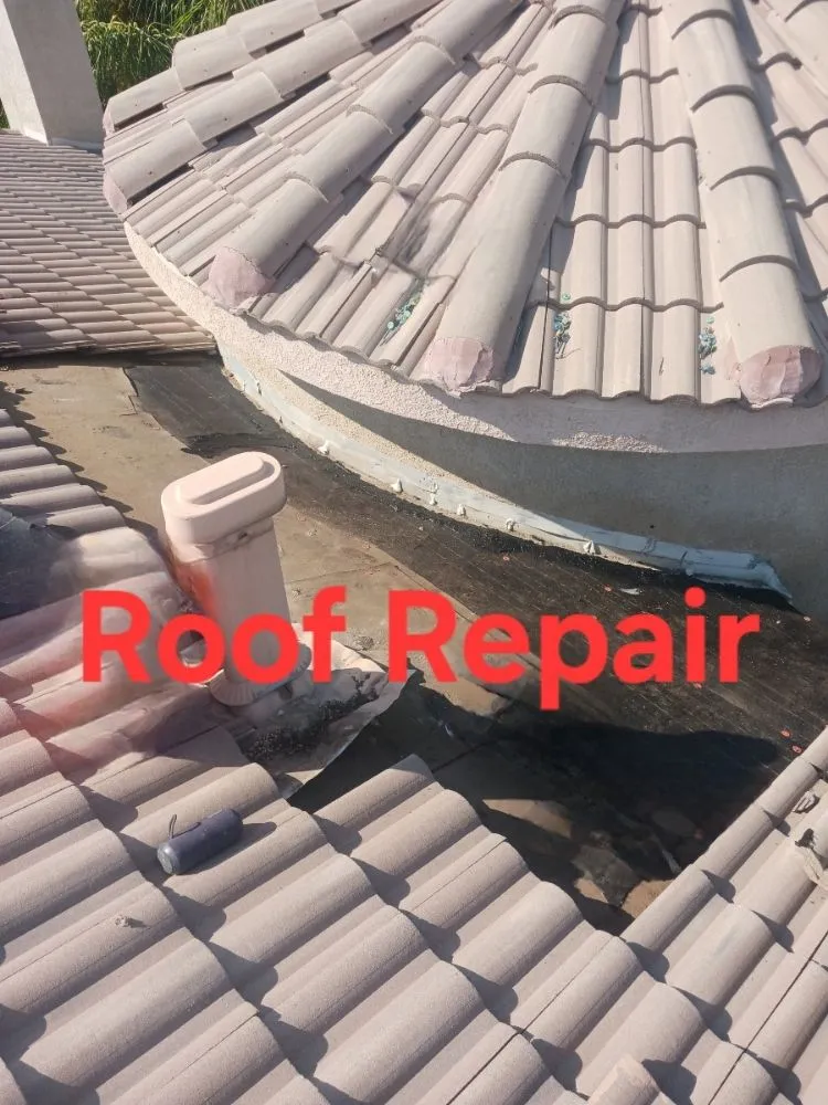 Slide of A-Rod Professional Services