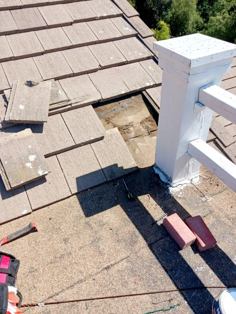 Slide of A-Rod Professional Services