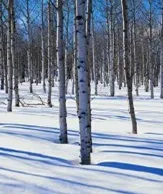 Slide of A; Roofing Specialist & Home Improvements