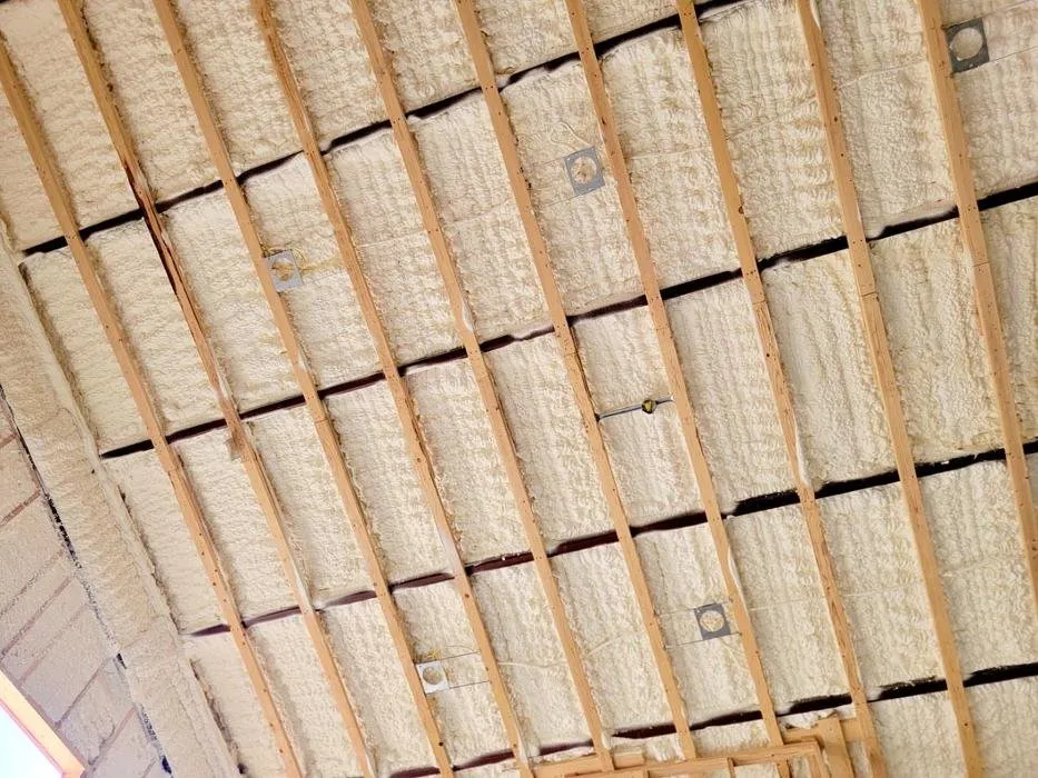 Slide of A-TECS Spray Foam