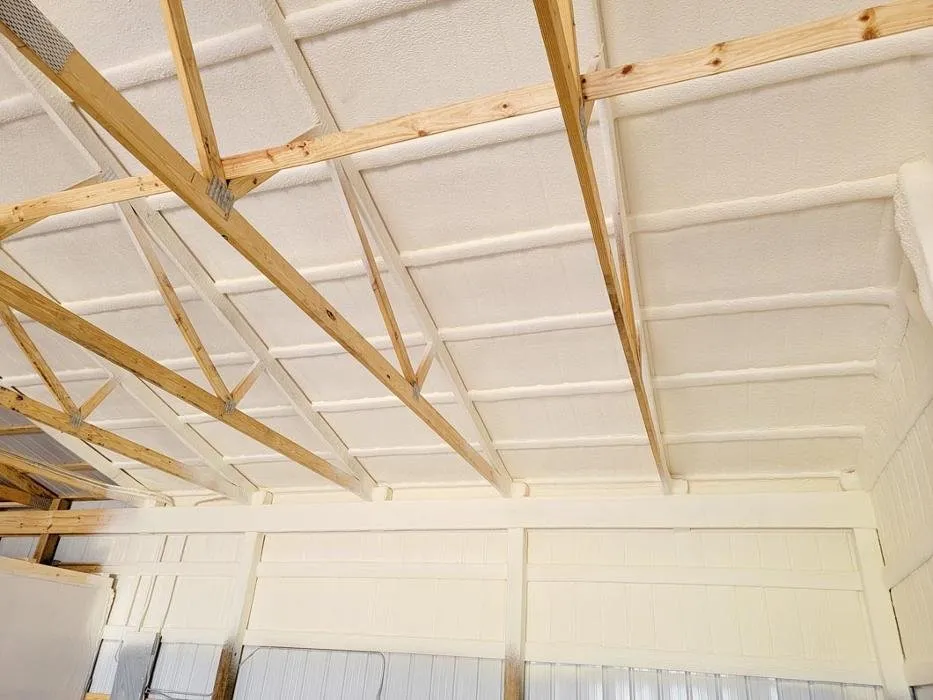 Slide of A-TECS Spray Foam