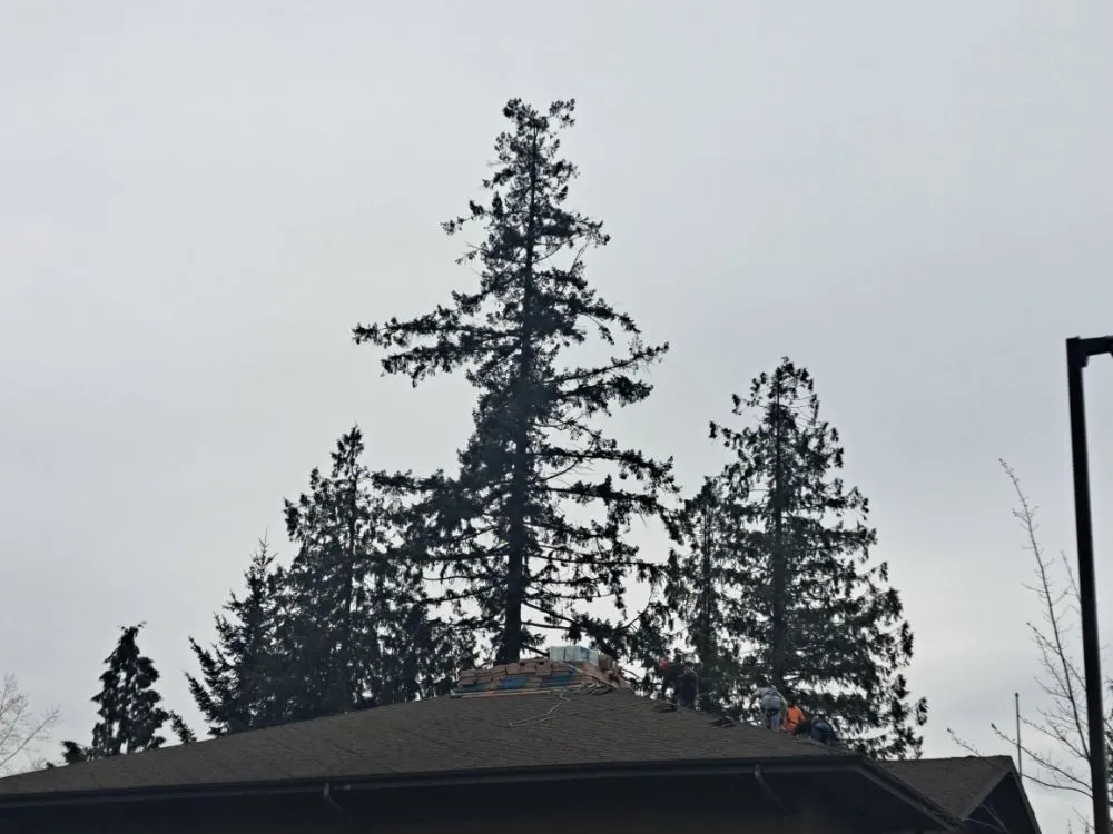 Slide of A TH Professional Roofing