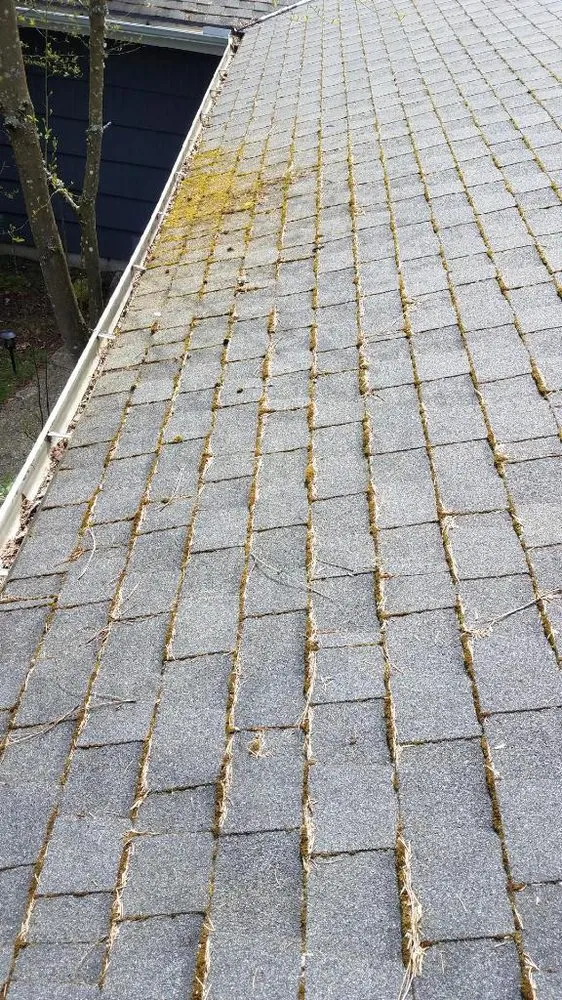 Slide of A TH Professional Roofing