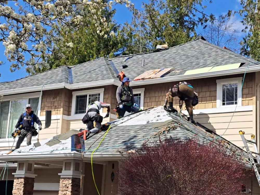 Slide of A TH Professional Roofing