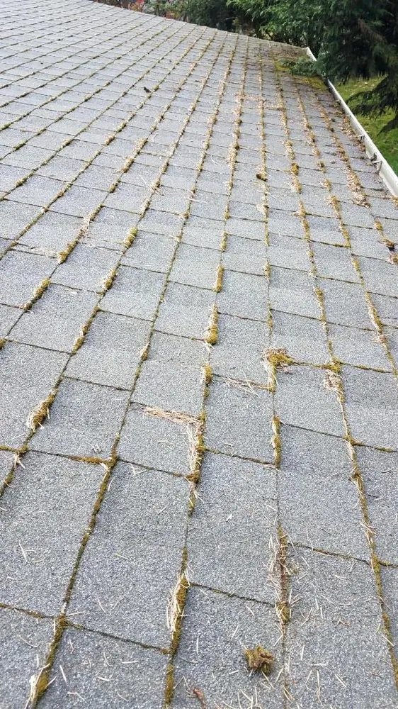 Slide of A TH Professional Roofing