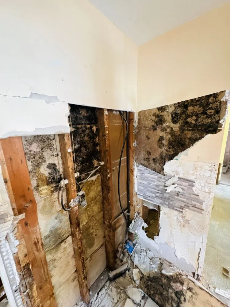 Expert roof repair experts serving Brookpark, OH - A Touch of Anne Restoration & Cleaning