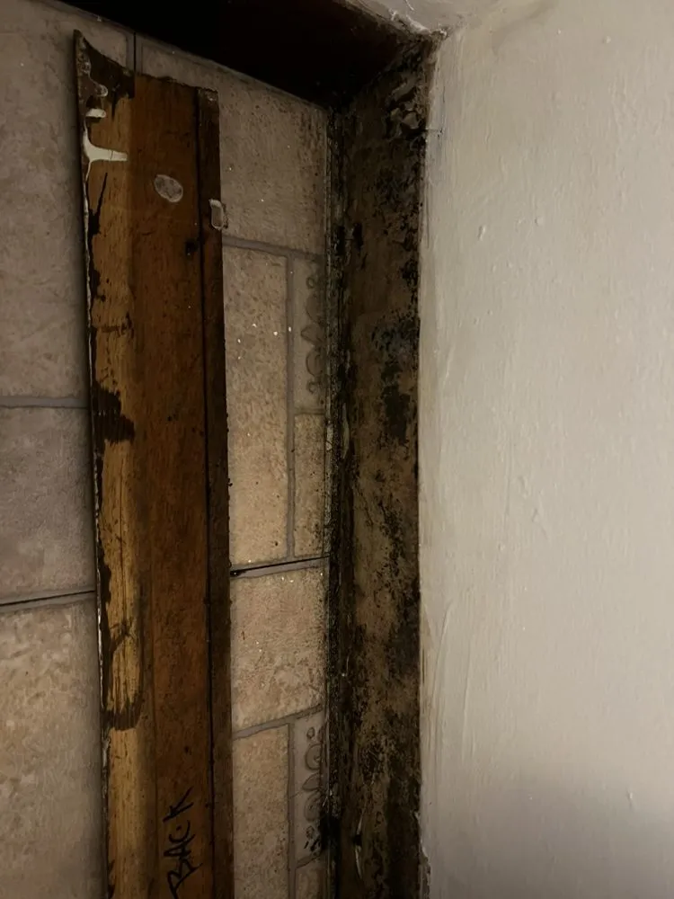 Emergency roof leak repair experts serving Brookpark, OH - A Touch of Anne Restoration & Cleaning